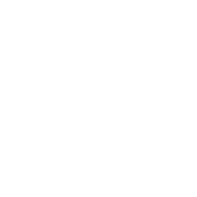 sportv2