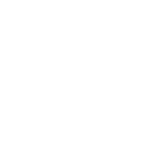 timesbrasil